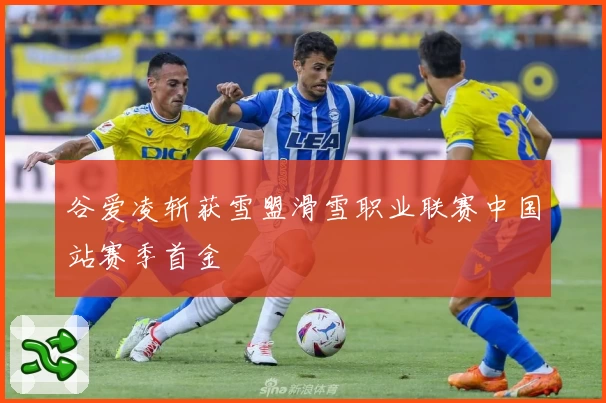 谷爱凌斩获雪盟滑雪职业联赛中国站赛季首金