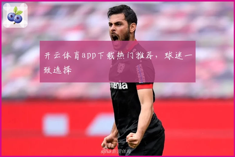 开云体育app下载热门推荐，球迷一致选择